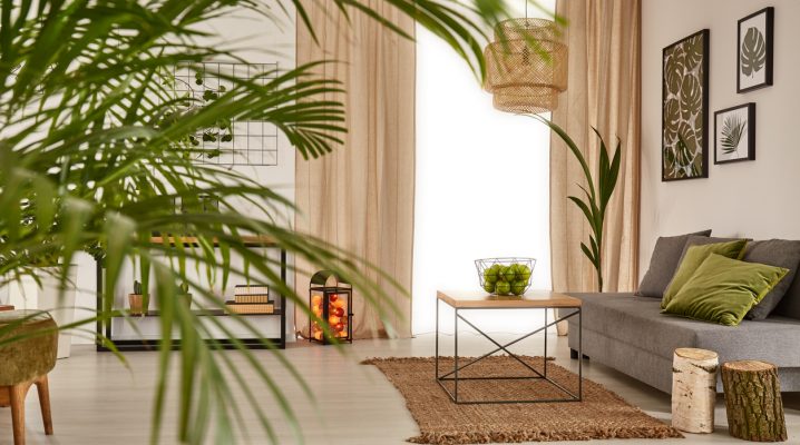Quais plantas usar para decorar cada ambiente de casa?