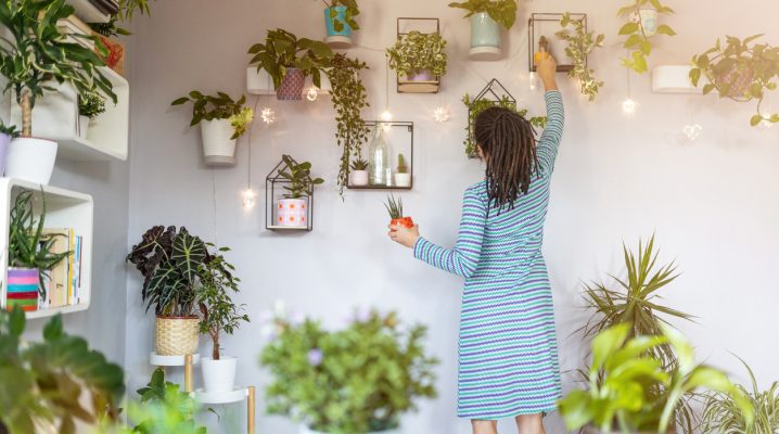 Cultivar plantas em casa pode ser um excelente hobby para você